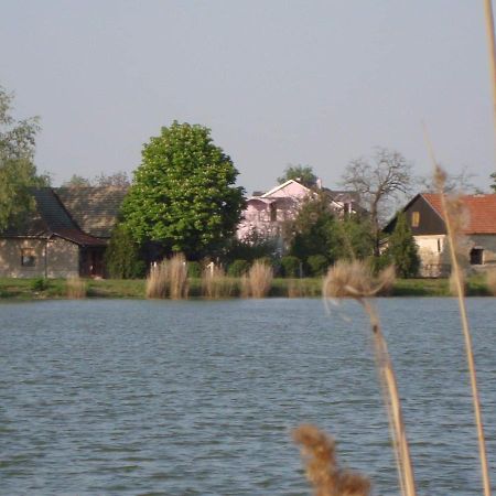 Vila Madams - Palic-Serbia Eksteriør billede